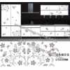水轉印，家具水轉印，家具水移畫
