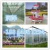 【ZUIHAODE三色堇】三色堇種植基地在哪里？