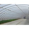 河北溫室大棚施工，春秋用大棚建造，自動化溫室大棚施工【快速get】華亮