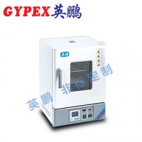 惠州化工廠干燥箱，立式電熱鼓風干燥箱